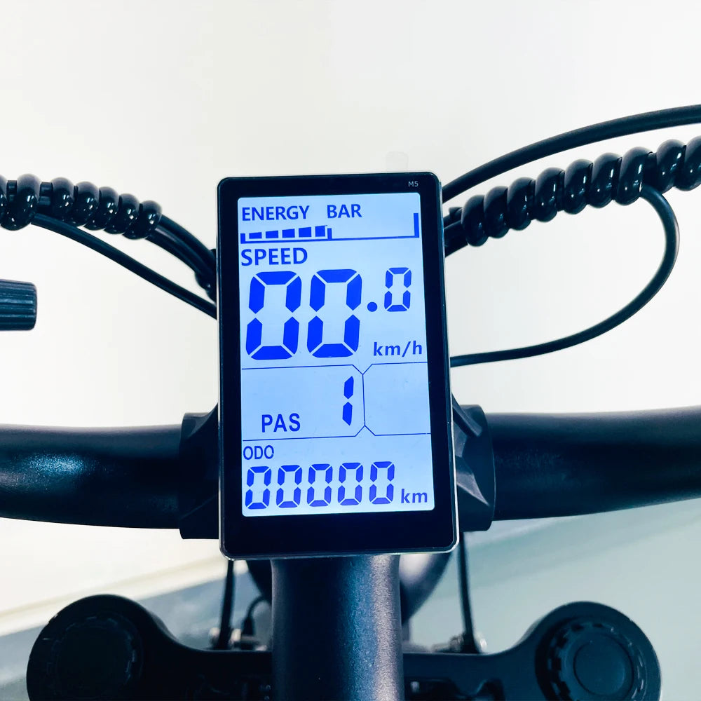 YVY Electric Bike for Adults 1500W 33MPH 48V 20Ah Removable Battery 20" All Terrain for Mountains Sand Fat Tire Ebike Motorcycle