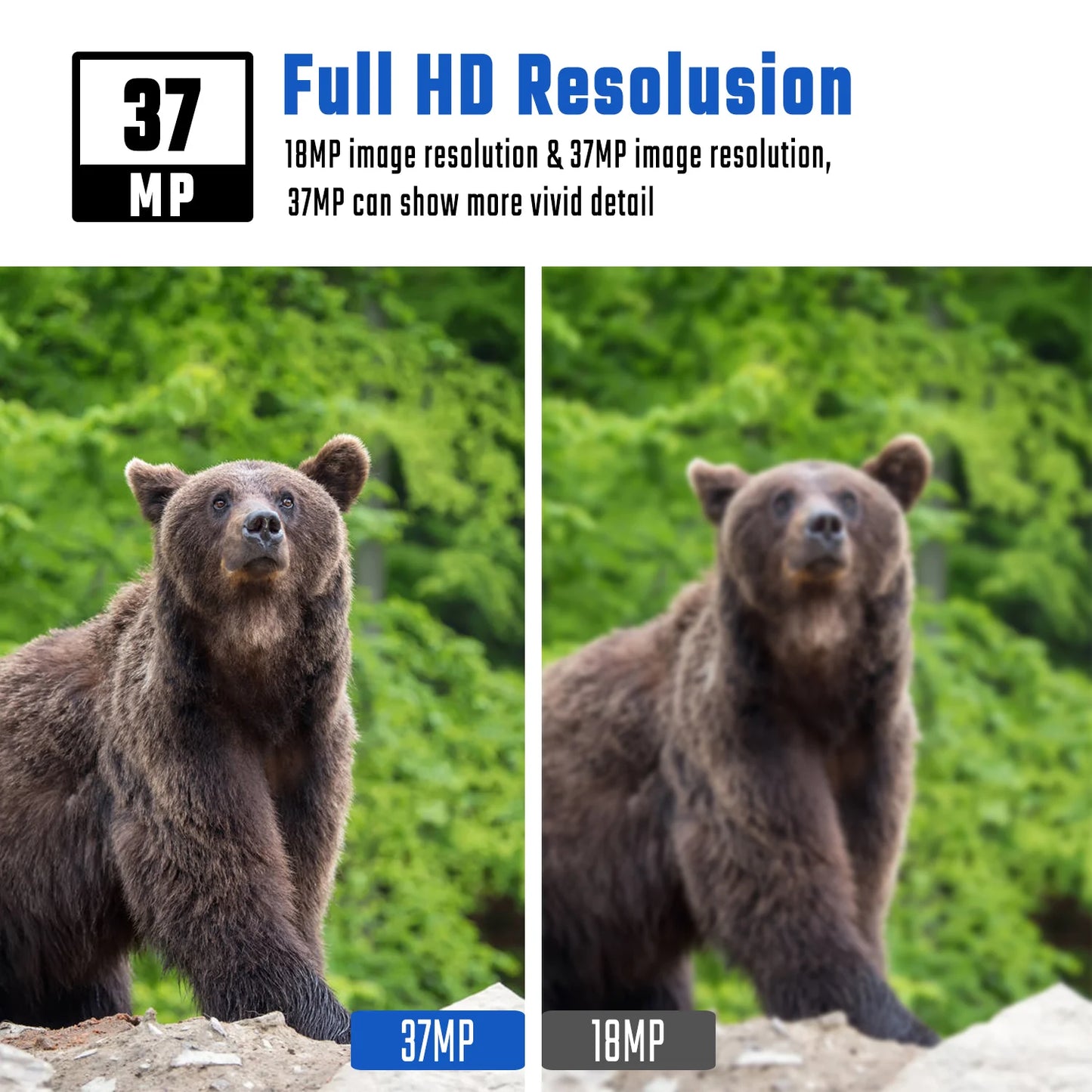 BolyGuard 2025 BG410-M(S) 4K FHD 37MP Trail Camera 940nm IR Night Vision, 4G Wireless, Outdoor Hunting Camera+gift 32GB TF