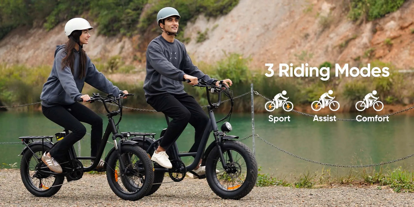 URLIFE E20PRO All-Terrain 20"*4" Fat Tire E-Bike 1500W Motor 48V 15.6Ah Battery 100Mi Range), Color Display & Front Suspension