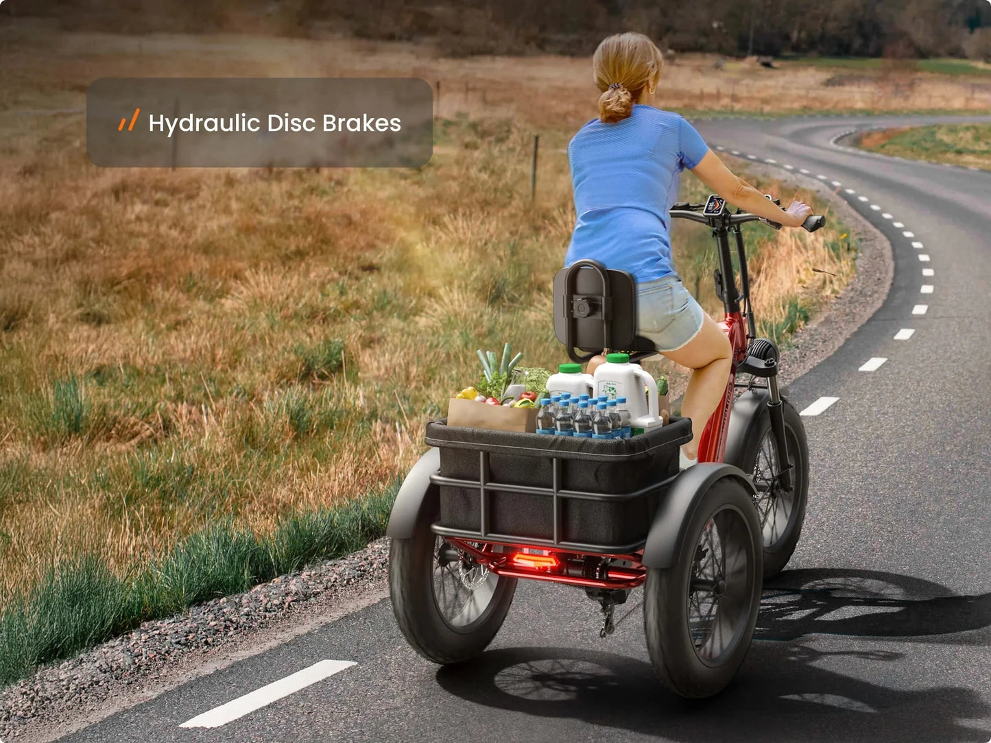 PUCKIPUPPY Husky Electric Trike for Adult 960W Peak Motor 60 Miles Range Tricycle 500 Lbs Load Electric Trike 2-Year Warranty