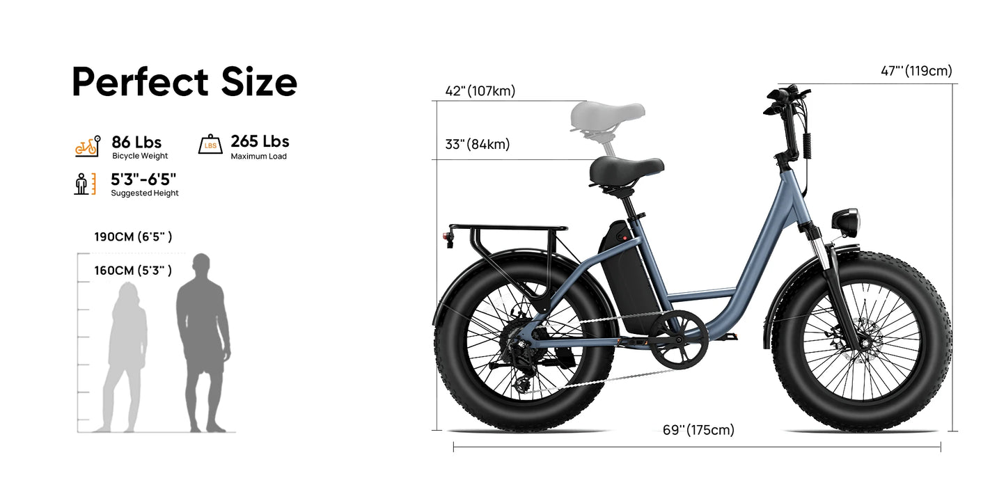 URLIFE E20PRO All-Terrain 20"*4" Fat Tire E-Bike 1500W Motor 48V 15.6Ah Battery 100Mi Range), Color Display & Front Suspension