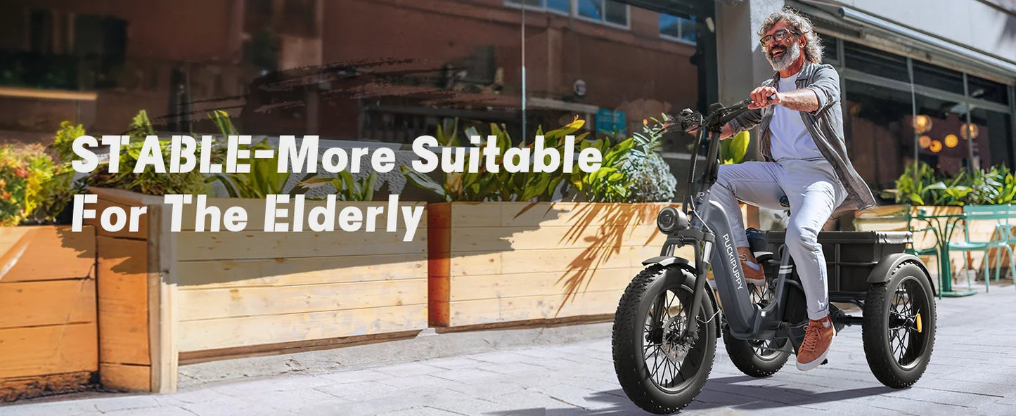 PUCKIPUPPY Husky Electric Trike for Adult 960W Peak Motor 60 Miles Range Tricycle 500 Lbs Load Electric Trike 2-Year Warranty