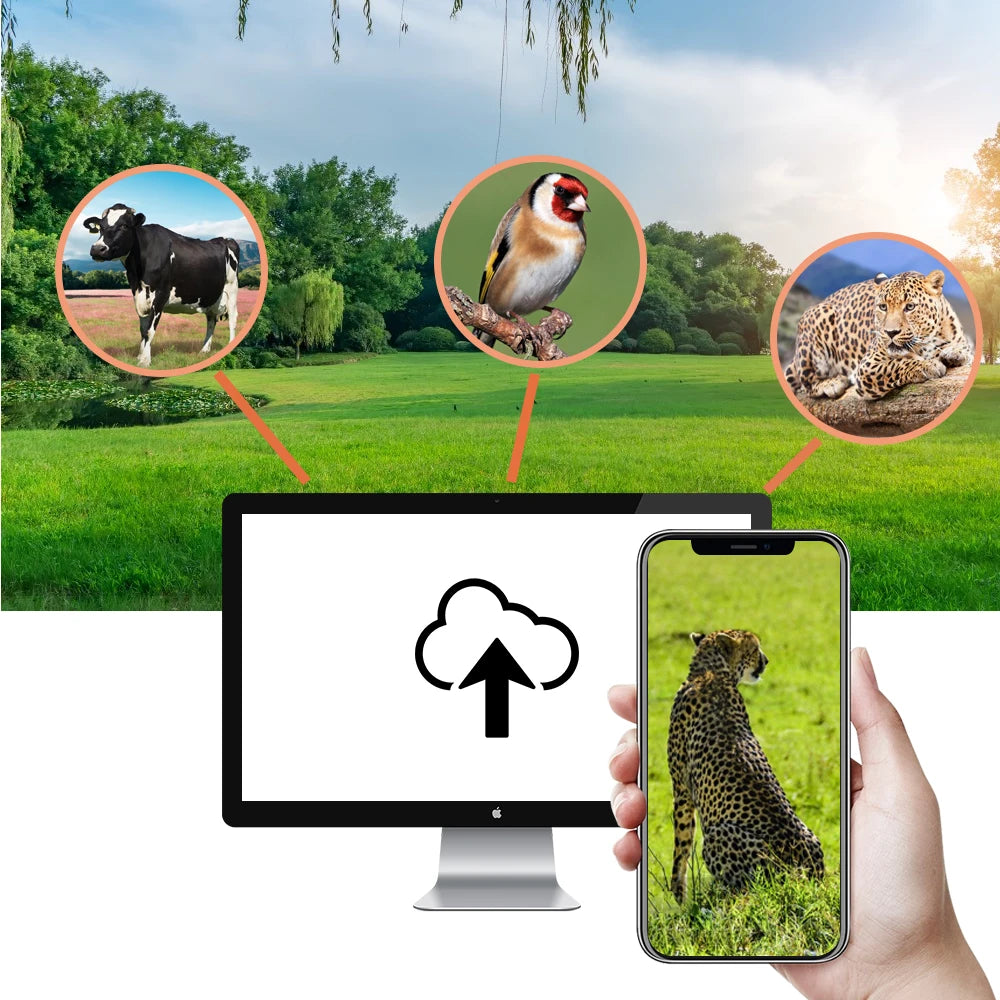 Outdoor 4K 30fps Video APP Trail Camera Cloud Service 4G 30MP Live Stream Media Wild Hunting Camera Night Vision PhotoTrap Game