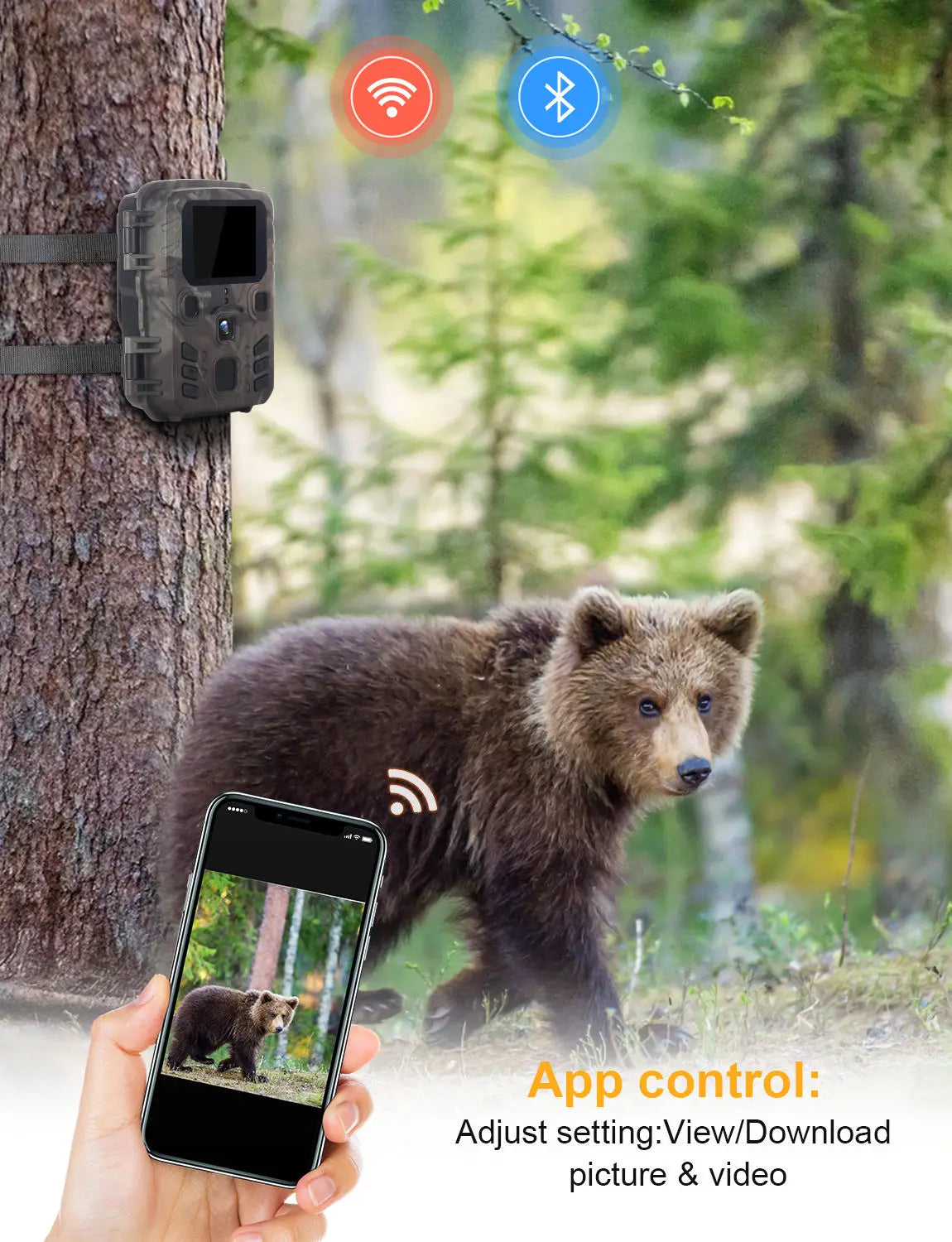Outdoor Wifi Hunting Camera APP Control Trail Camera Wireless Bluetooth 24MP 1296P Night Vision Motion Wildlife Traps Photo